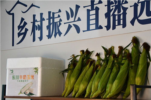 半小时卖了6.8吨 东川 牛奶玉米 可生吃