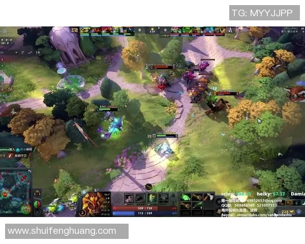 DOTA2最新比赛经验分享TOP10RNG战队表现抢眼引领潮流