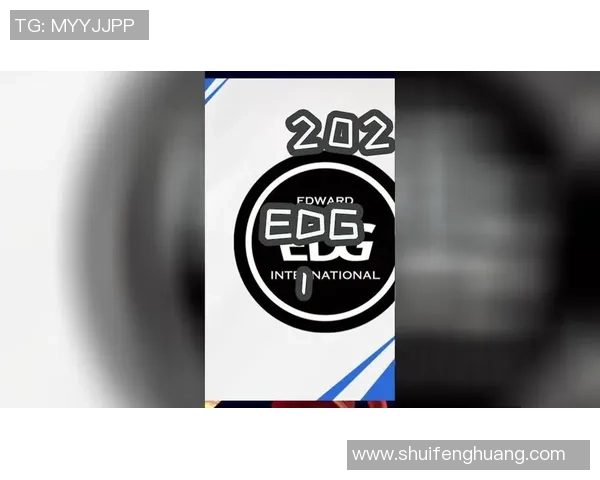 EDG职业联赛表现分析：速度与团队协作的完美结合