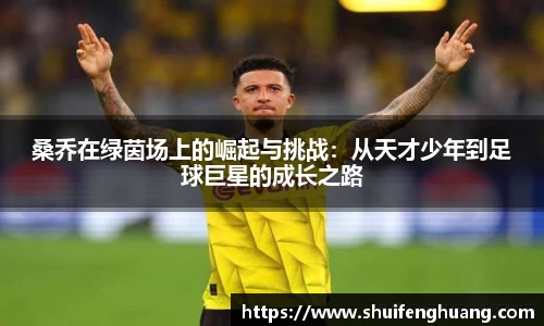桑乔在绿茵场上的崛起与挑战：从天才少年到足球巨星的成长之路